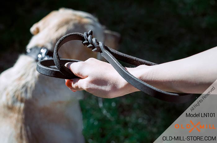 Leather Dog Leash with Braids and Brass Hook