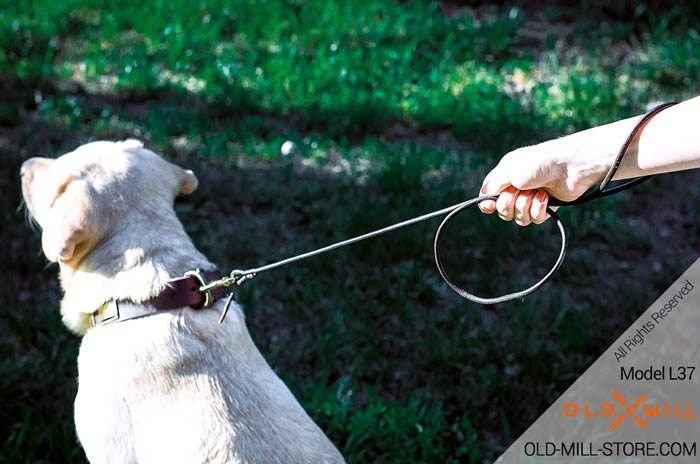 Extra Light Dog Show Round Leash