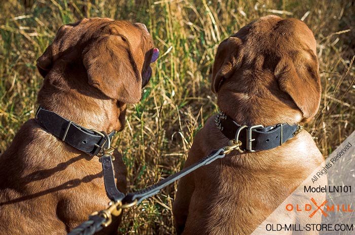 Handmade Leash to Walk Two Dogs