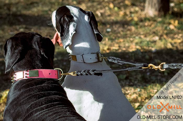 Strong Dog Leash to Walk 2 Dogs