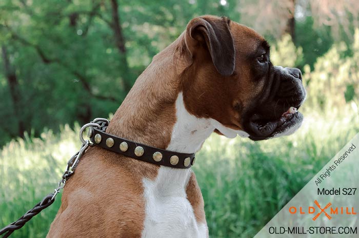 Boxer Collar with Old Brass Circles