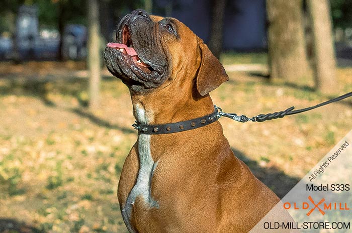 Spiked Dog Collarwith Silver-like Spikes for Boxer