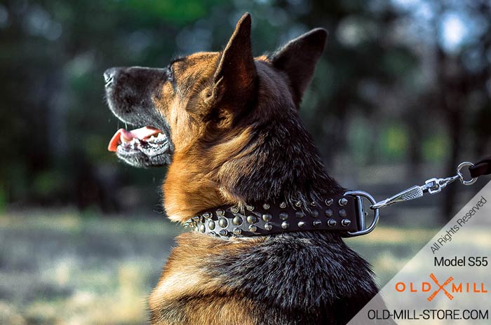 Fantastic Leather Dog Collar for German Shepherd