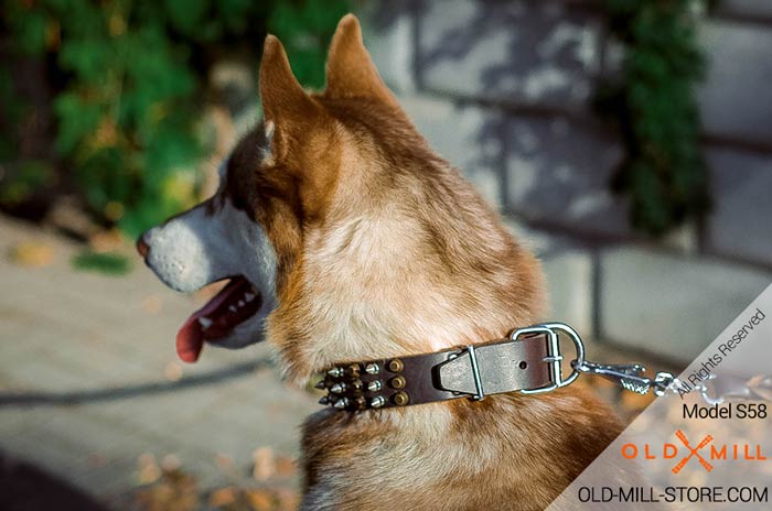 Leather Husky Collar with 3 Spikes 3 Old Brass Pyramids