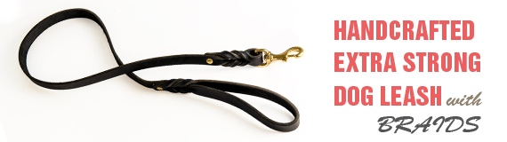 Buy Dog Leash with Braids