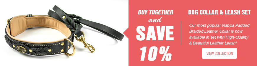 Buy Dog Collar and Leash Set - SAVE MONEY!